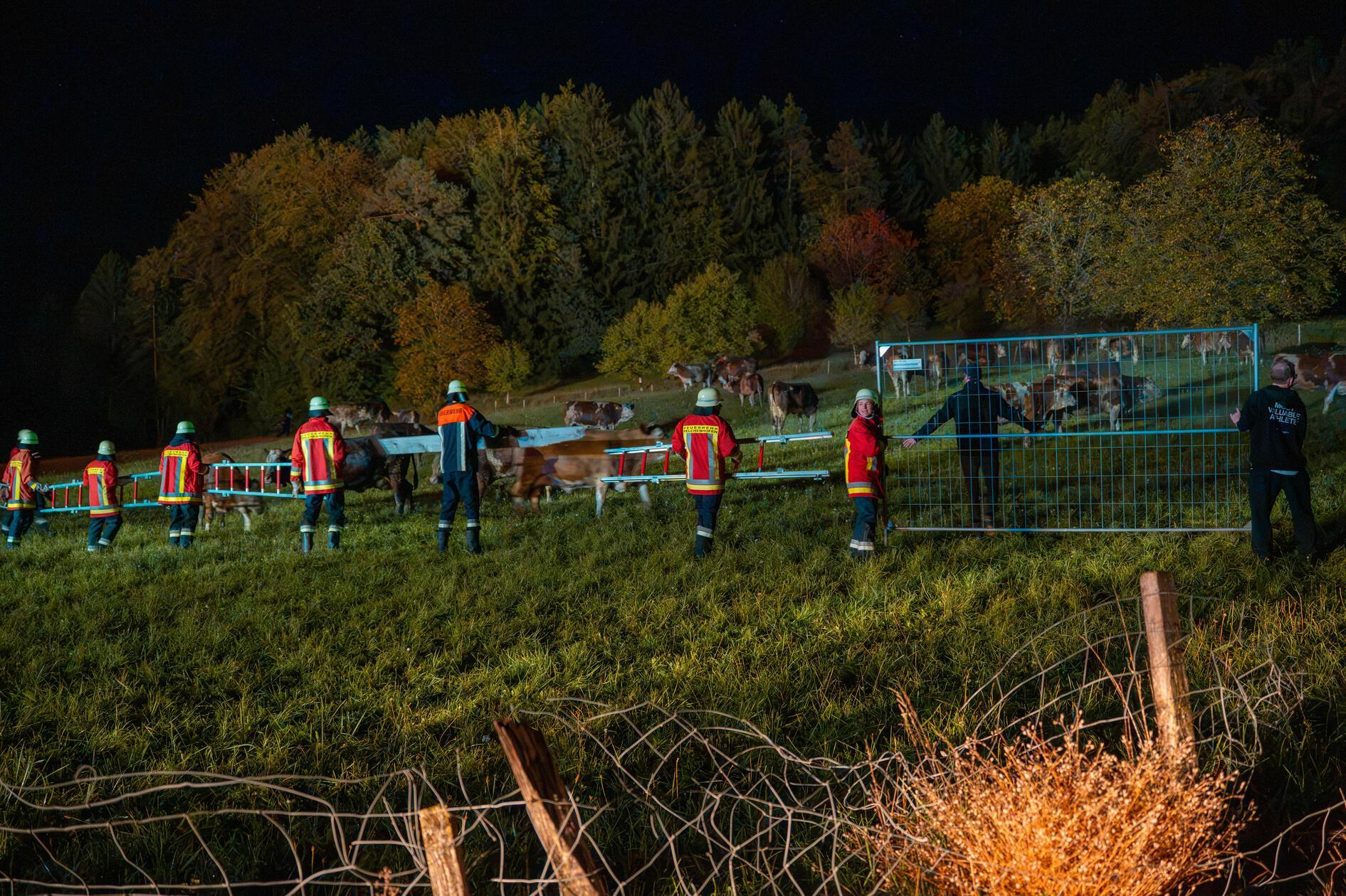 Mit mehreren Transportern wurden die geretteten Tiere anschließend vom Brandort weggebracht.
