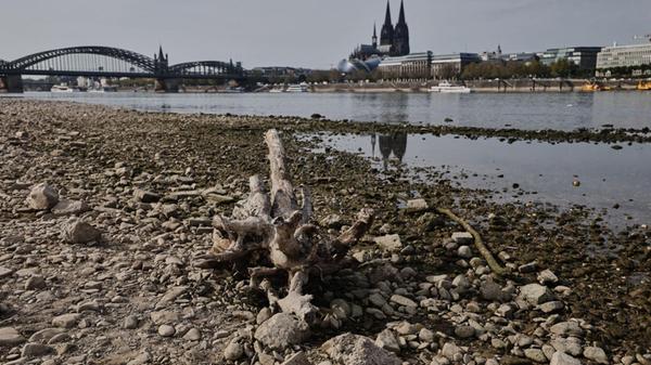 Der Dom spiegelt sich am Rheinufer in Köln im Wass