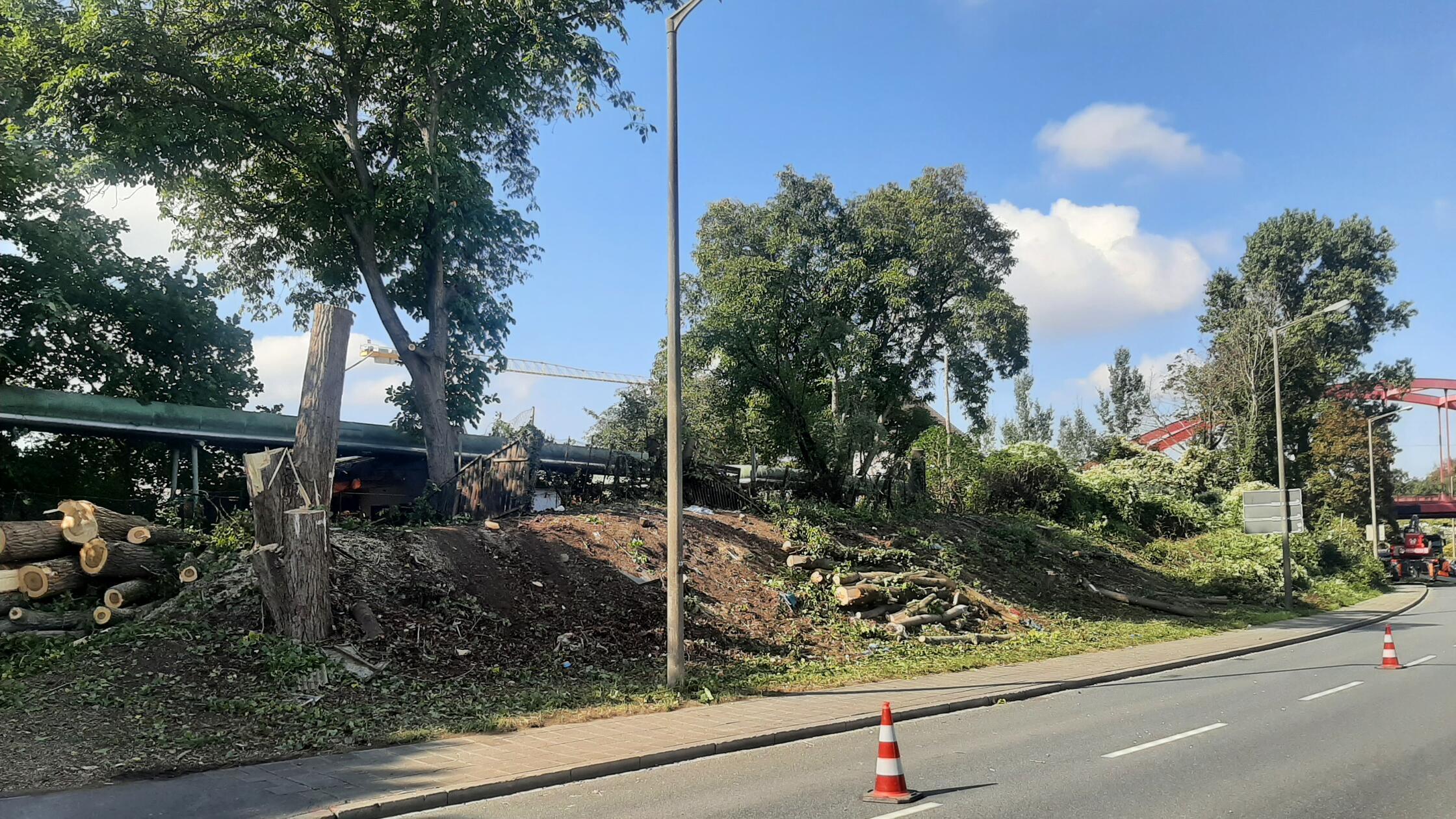 Frankenschnellweg: Nuremberg fells trees for expansion