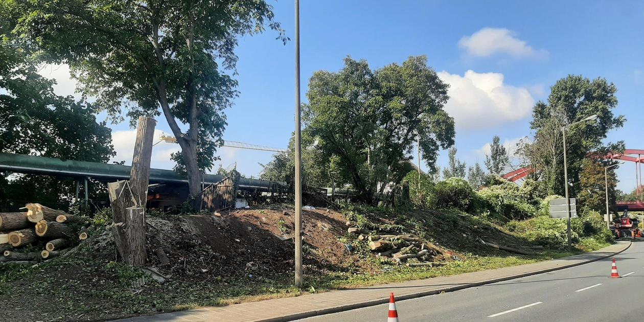 Frankenschnellweg: Nuremberg fells trees for expansion