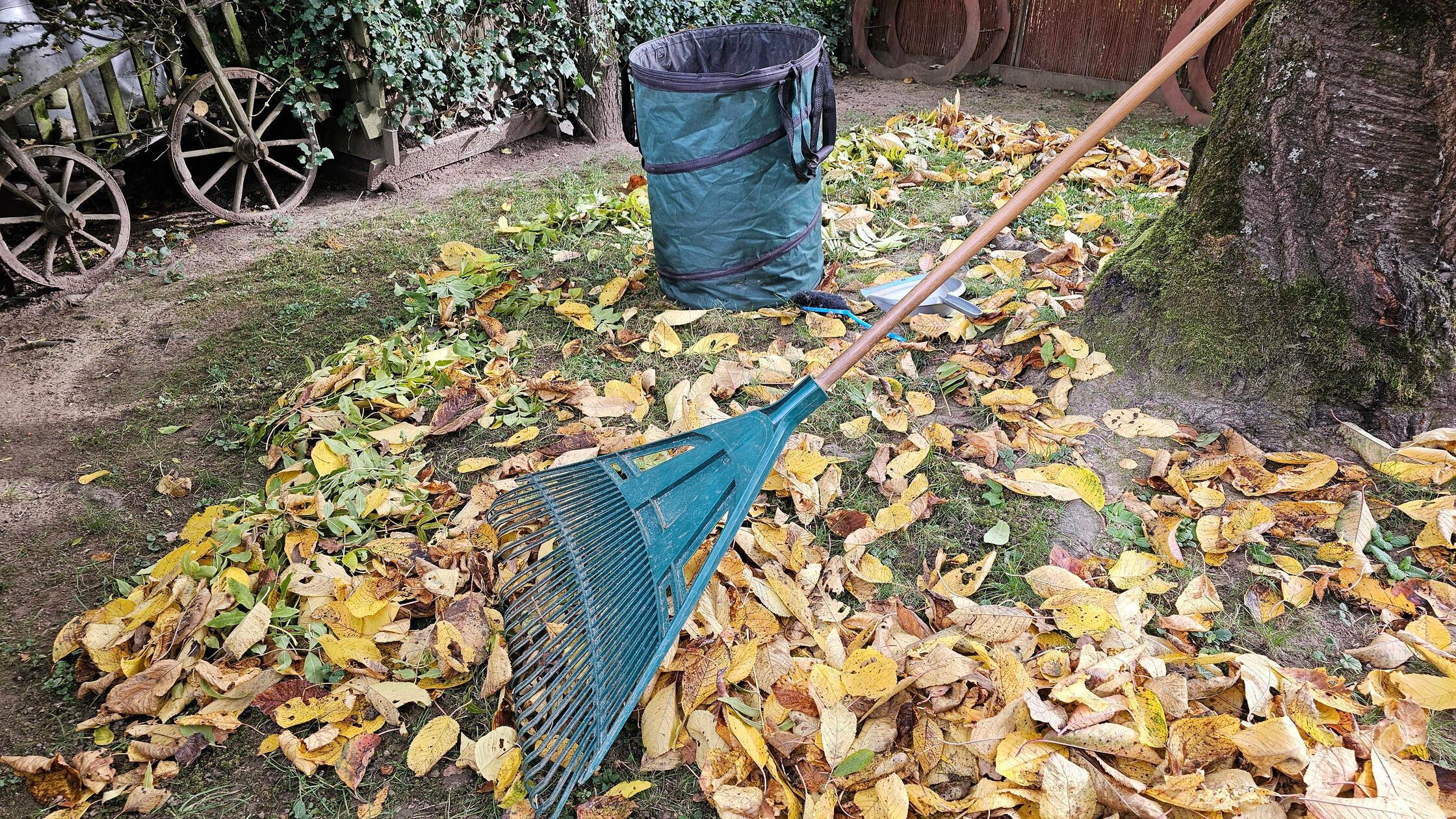 Aufnahme vom 19. Oktober 2025 Gartenarbeit im herb