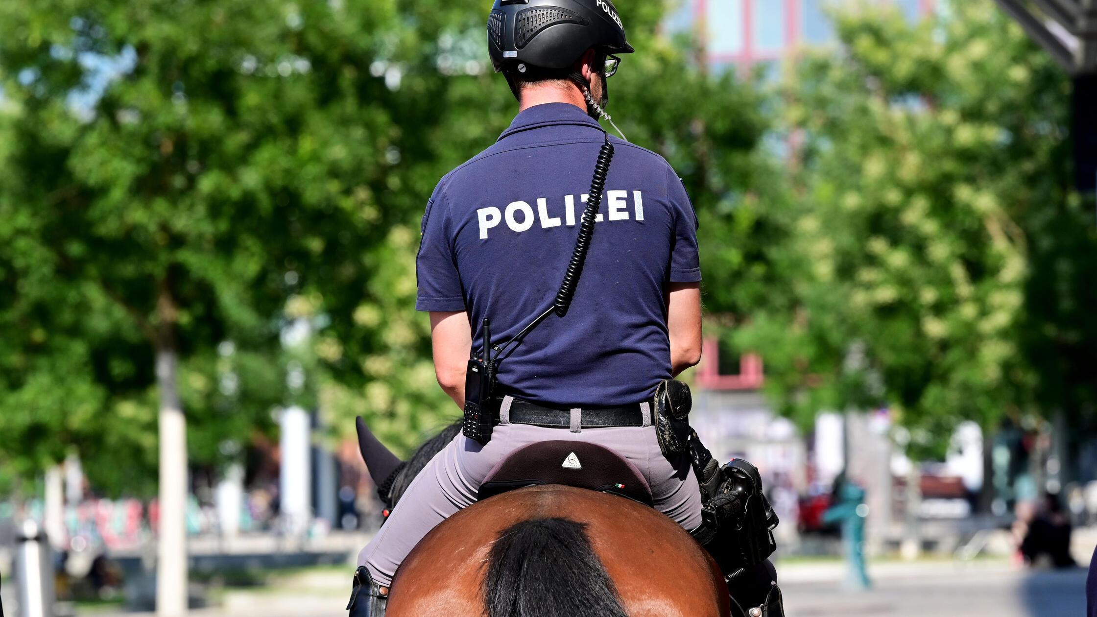 Mounted police in focus: Citizens annoyed by horse droppings in Nuremberg ...