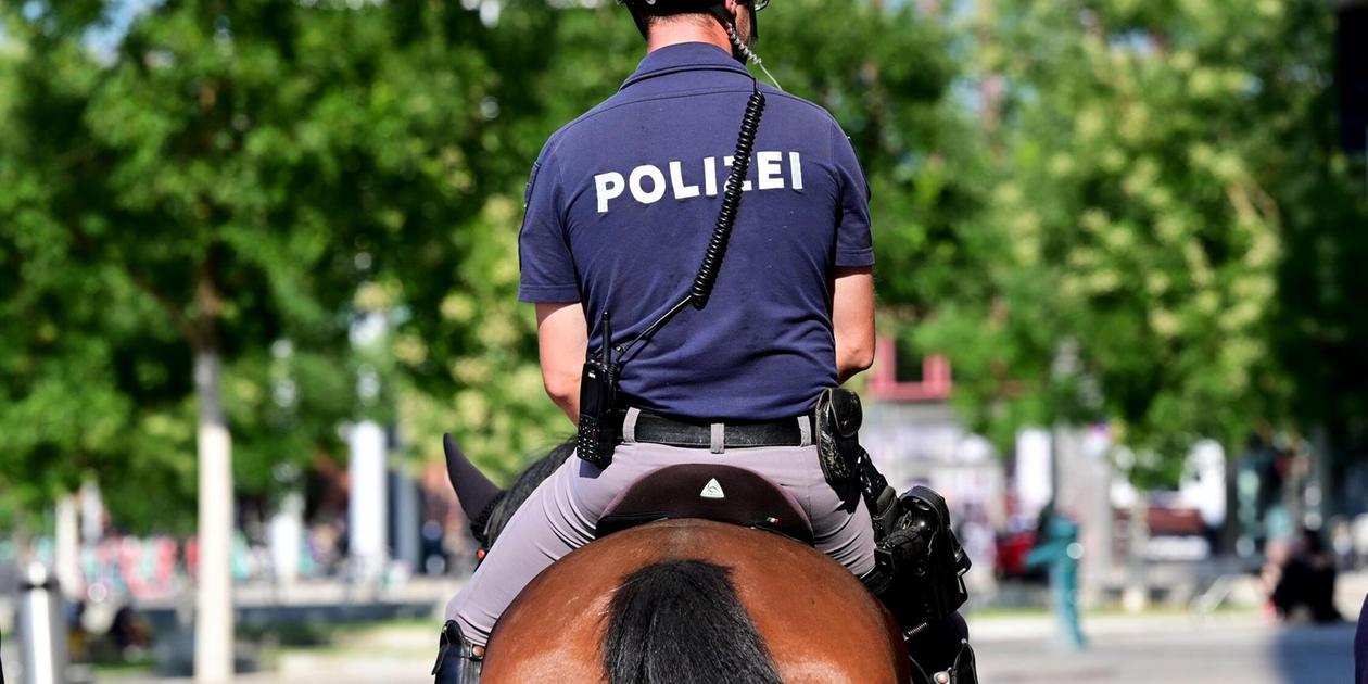 Mounted police in focus: Citizens annoyed by horse droppings in Nuremberg ...