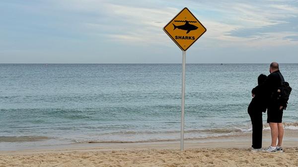 Hai-Warnschilder am Bondi Beach in der australisch
