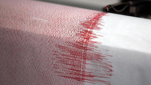 Der Seismograph einer Erdbebenwarte verzeichnet Au