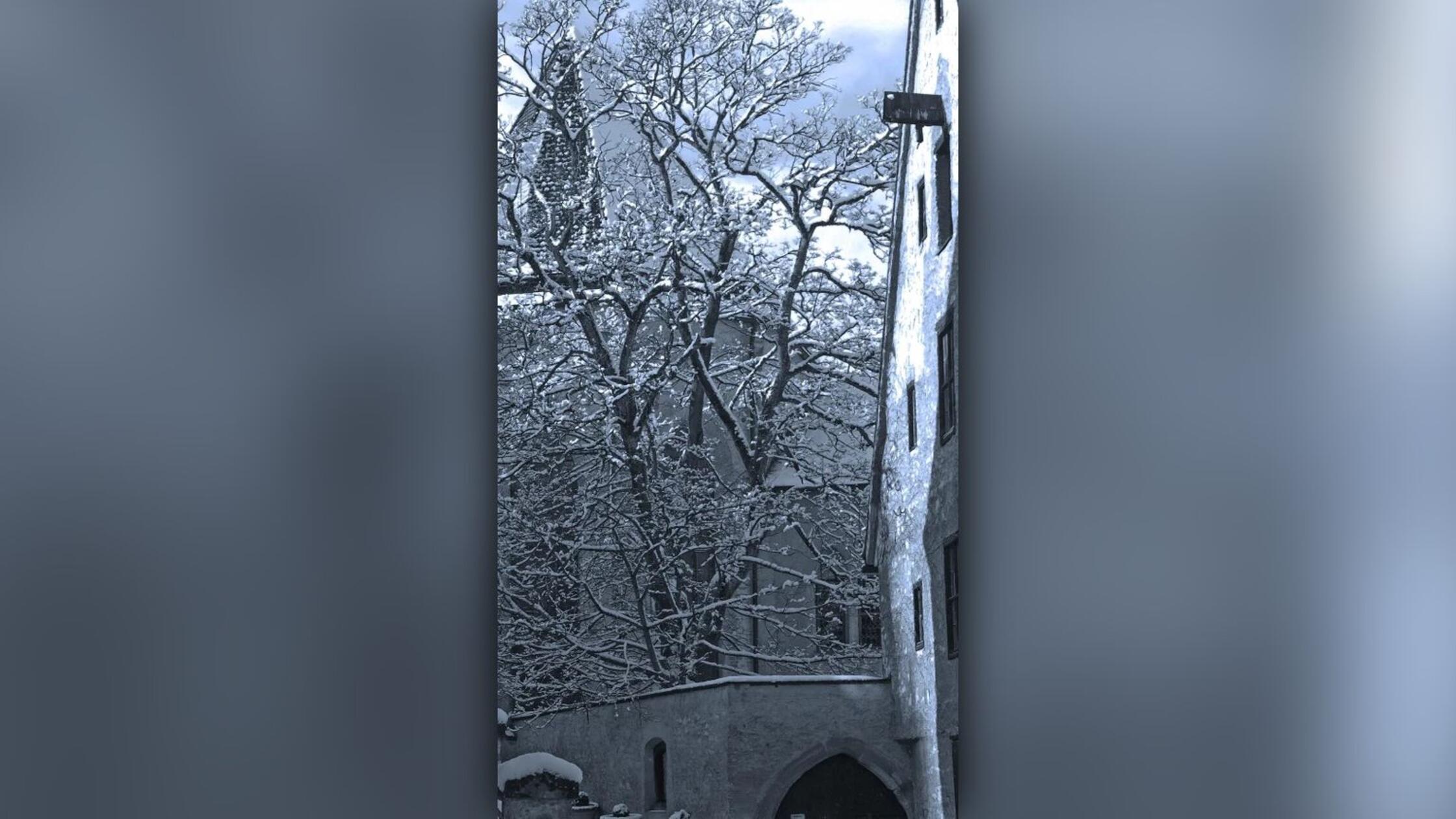 Die "ruhelose Komtesse" im Kloster Pappenheim: Im Kloster Pappenheim soll bis heute der Geist der Gräfin Anna Ursula umgehen. Der Legende nach wurde sie im Dreißigjährigen Krieg von ihrer Familie verstoßen und im Kloster zurückgelassen, als die Schweden anrückten. Auf der Flucht vor den Angreifern kletterte sie aufs Dach – was danach geschah, ist unbekannt. Seither soll die „ruhelose Komtesse“ als gebückte Gestalt durch das Kloster wandeln. Auch von unerklärlichem Gepolter, verschwundenen Gegenständen und Stromausfällen ist die Rede. Bei Neuschnee sollen sogar ihre Fußspuren auf dem Klosterdach zu sehen sein.