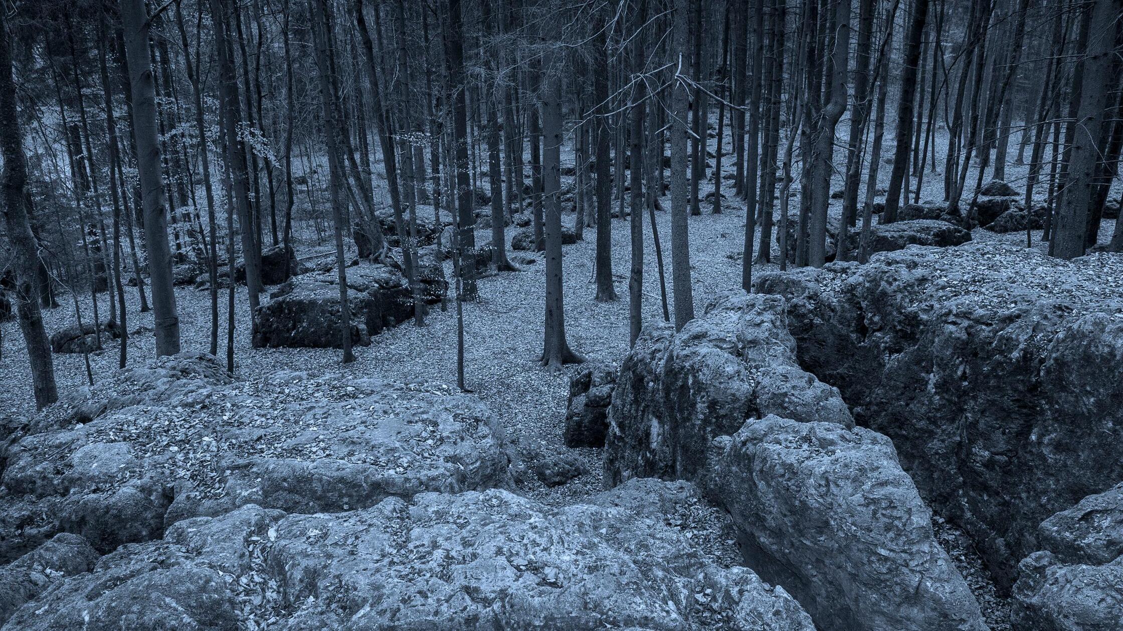 Der Druidenhain bei Wohlmannsgesees: Seinen Namen erhielt das Waldgebiet in der Fränkischen Schweiz aufgrund der ungewöhnlichen Felslandschaft, die die Fantasie der Besucher anregte. Dem Volksglauben nach soll es sich um eine Kultstätte keltischer Priester, sprich Druiden, gehandelt haben. Darüber hinaus sollen dort der Raubritter Eppelein von Gailingen und seine Bundesgenossen zu mitternächtlicher Stunde einen Treueschwur zelebriert haben. Die Leute aus dem nahegelegenen Wohlmannsgesees glaubten an ein Bankett der Hexen mit Kinderfleisch und Menschenblut. Deshalb munkelt man, dass es dort in der Nacht nicht ganz geheuer sei.