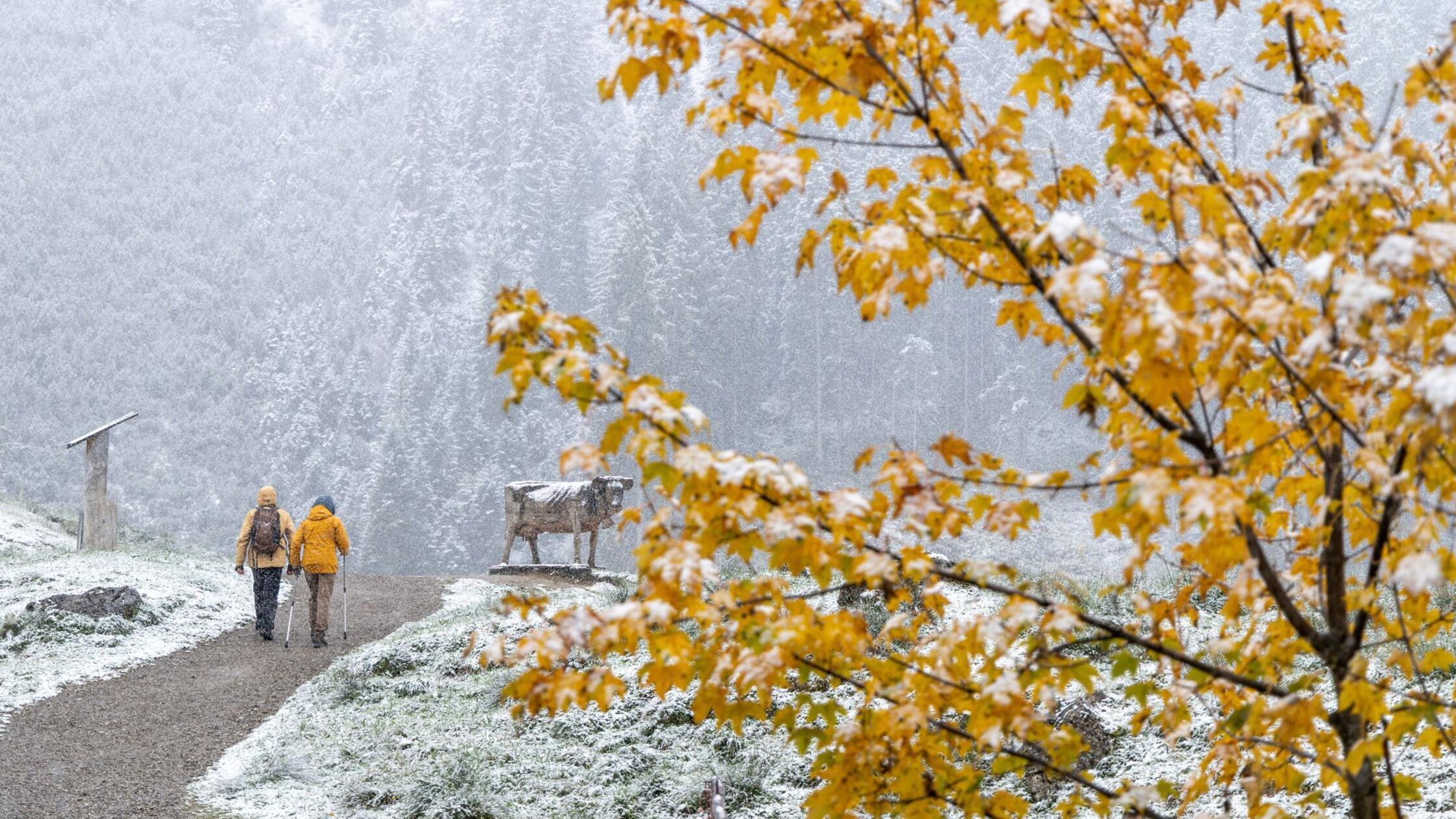 Zwei Wanderer laufen nahe der Seealpe während der 