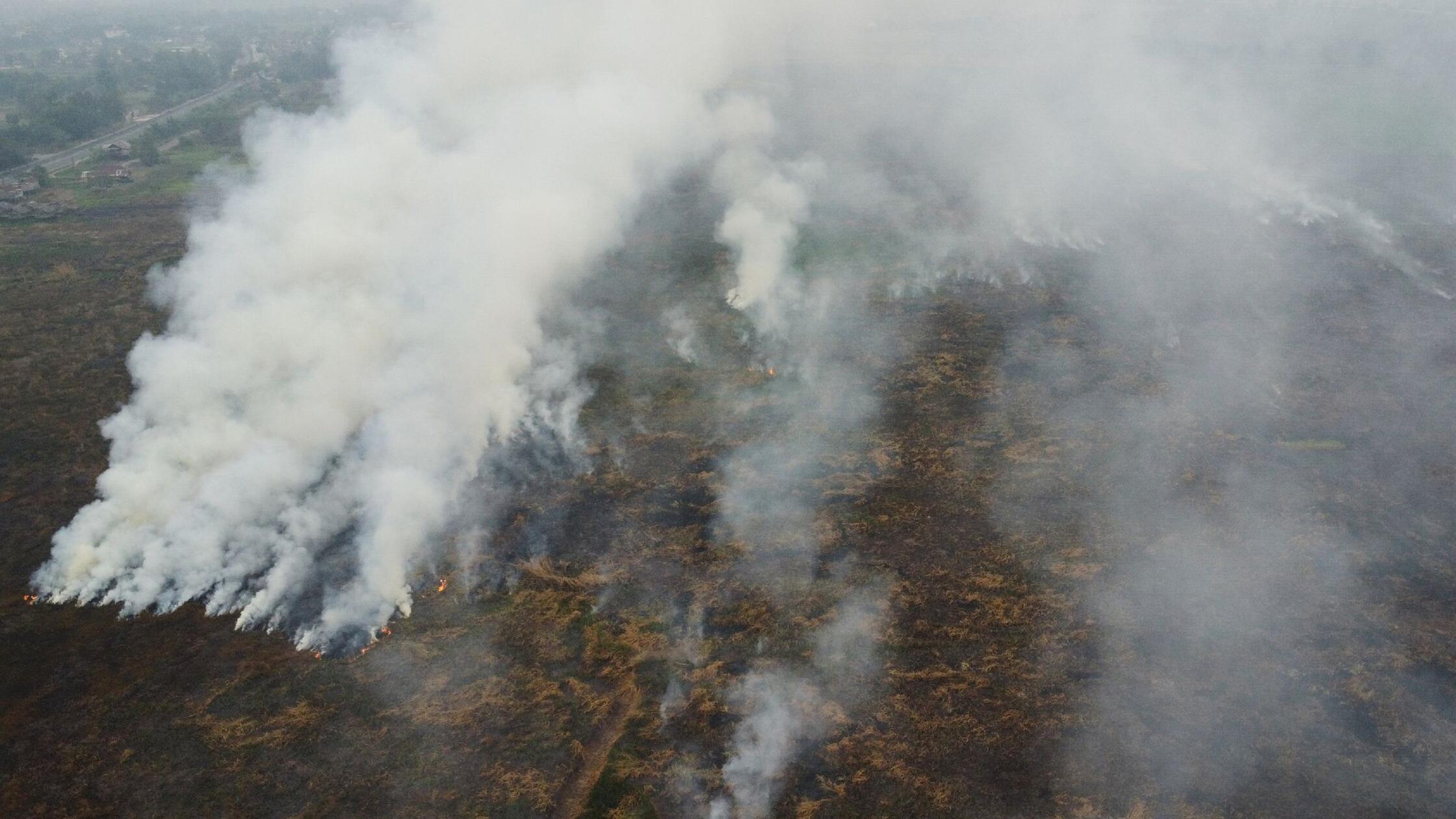 Rauch steigt aus Waldbränden auf, die ein Torfmoor