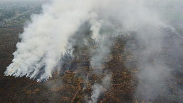 Rauch steigt aus Waldbränden auf, die ein Torfmoor
