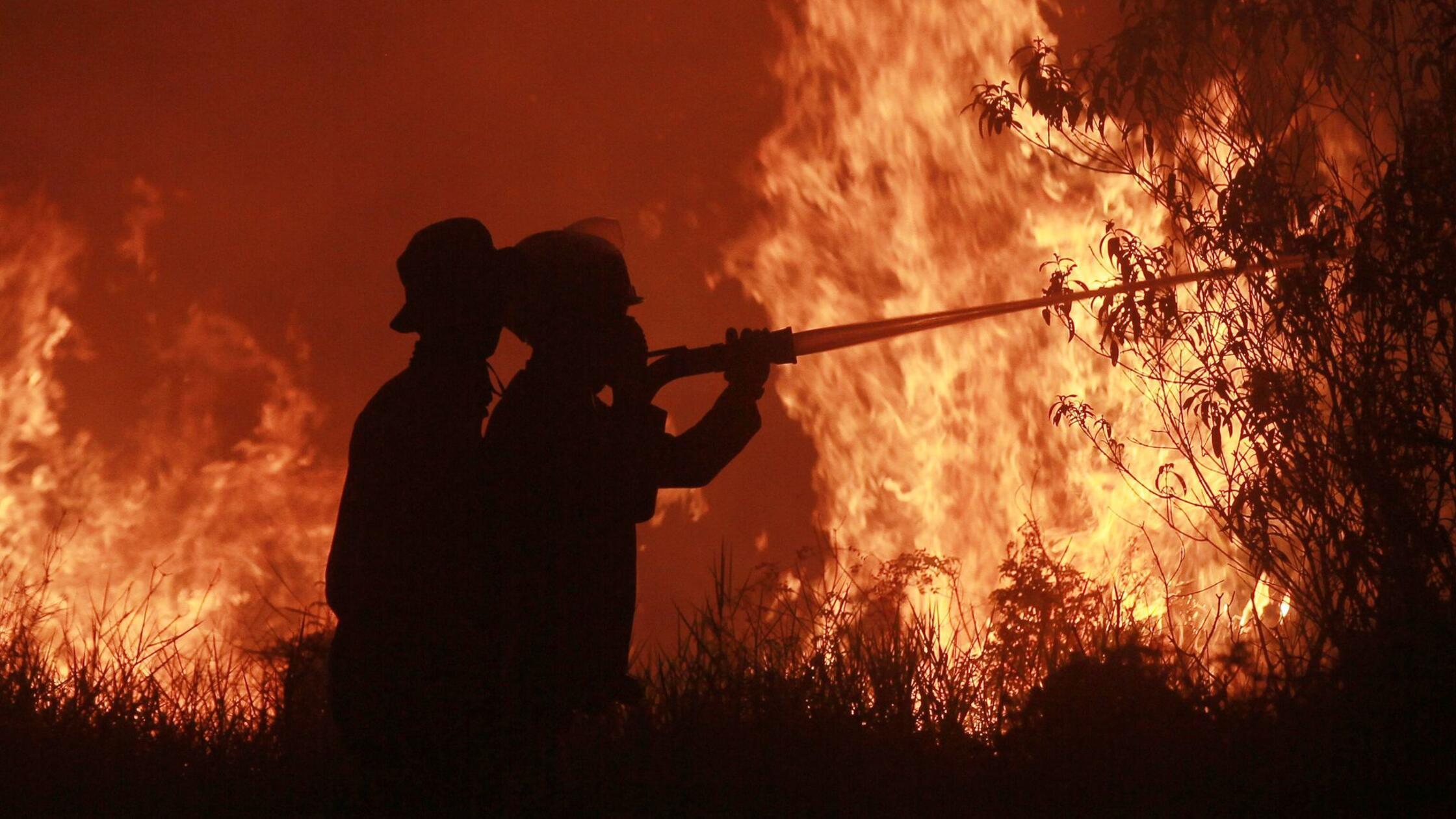 Feuerwehrleute spritzen Wasser, um einen Waldbrand