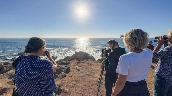Doch an der Küste gibt es neben Vögeln und Seehunden noch viel größere Tiere zu bestaunen: Diese Touristen beobachten in Bodega Bay durch das Teleskop gerade zwei Buckelwale, die nach Süden wandern.