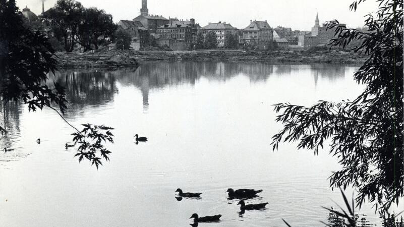 Bilder aus der Sonderausstellung zum Stadtparkjubiläum - Stadtparkweiher 1962.