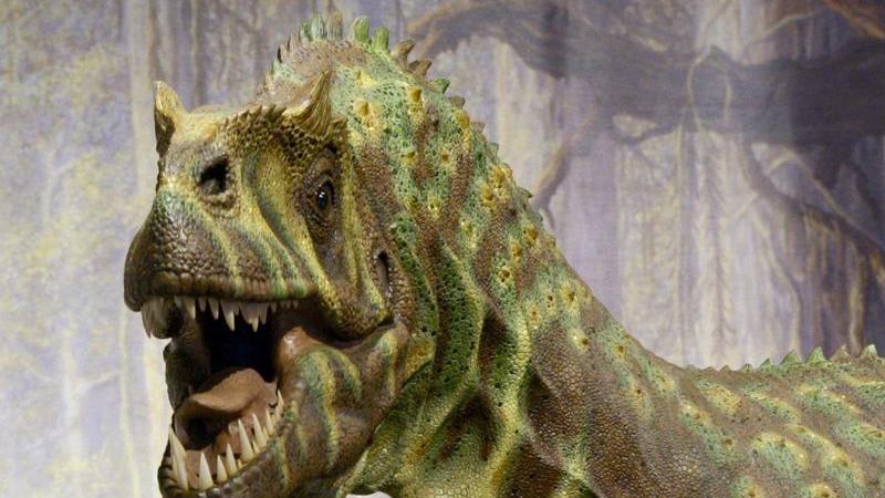 So ähnlich könnte der Dinosaurier ausgesehen haben, der ein Verwandter des T. rex sein soll.