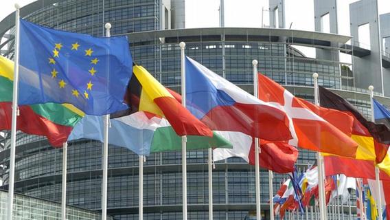 Alles, was Sie zur Europawahl 2014 wissen müssen