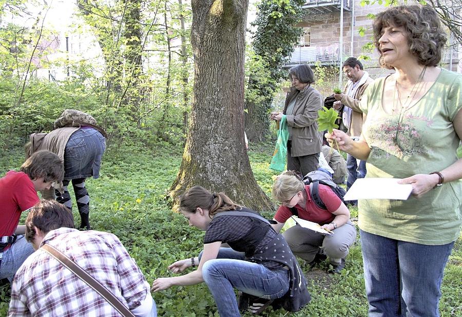 Für Alles Ist Ein Kraut Gewachsen | Nordbayern