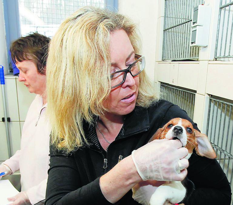 Grosste Rettungsaktion In Der Tierheim Geschichte Nurnberg Nordbayern De