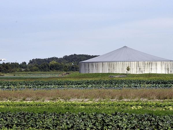 Das Pumpwerk 4 in Schnepfenreuth, eine von sechs Anlagen im Knoblauchsland. Das Pumpwerk 4 in Schnepfenreuth, eine von sechs Anlagen im Knoblauchsland.
