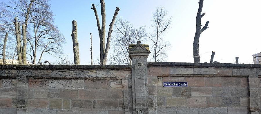 Laubbäume machen Villen Platz