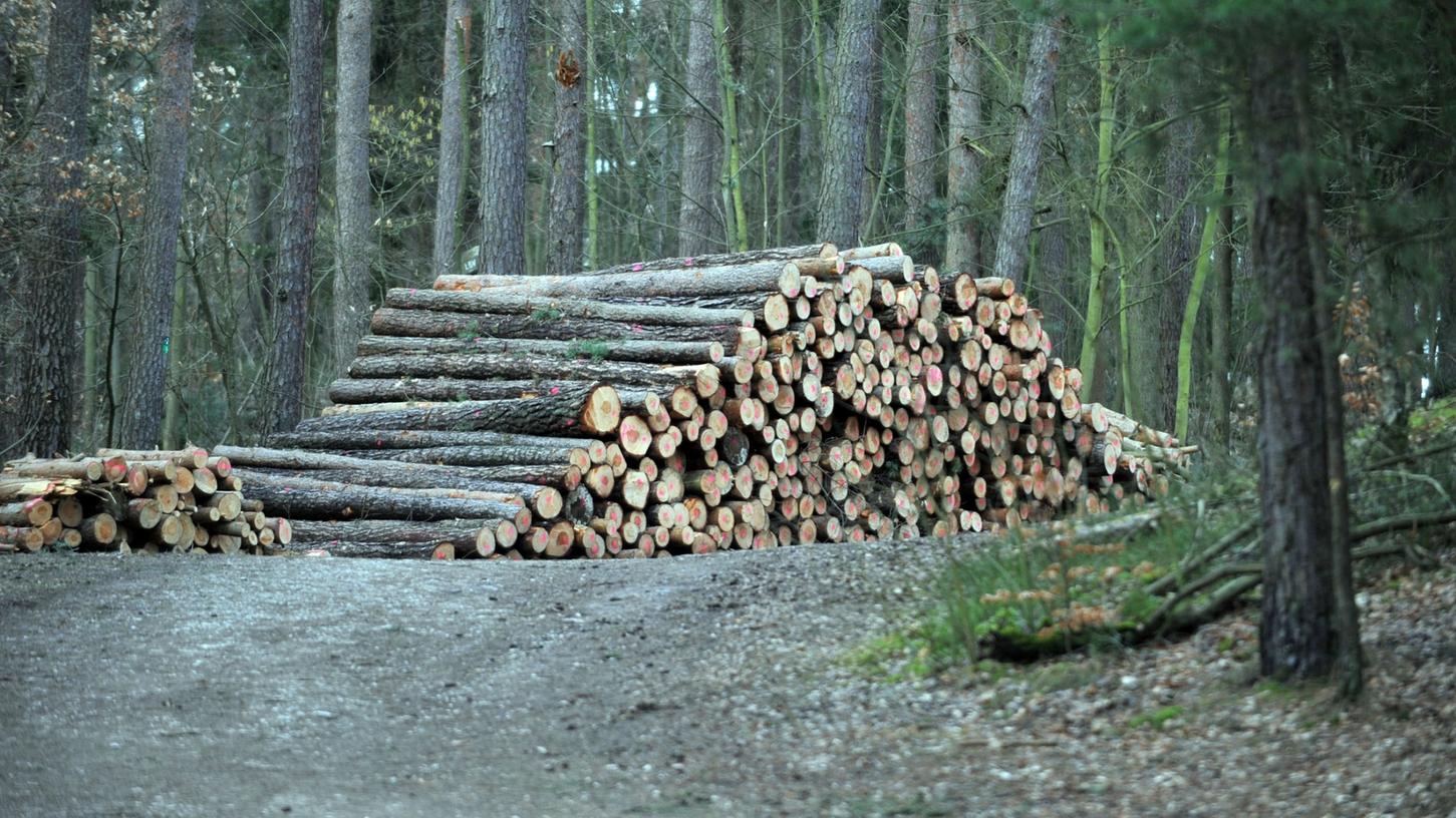 Symbolbild Holzernte Symbolbild Holzernte