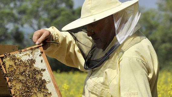 „Dantop“ vernichtete Bienenvölker Wendelsteiner Imker