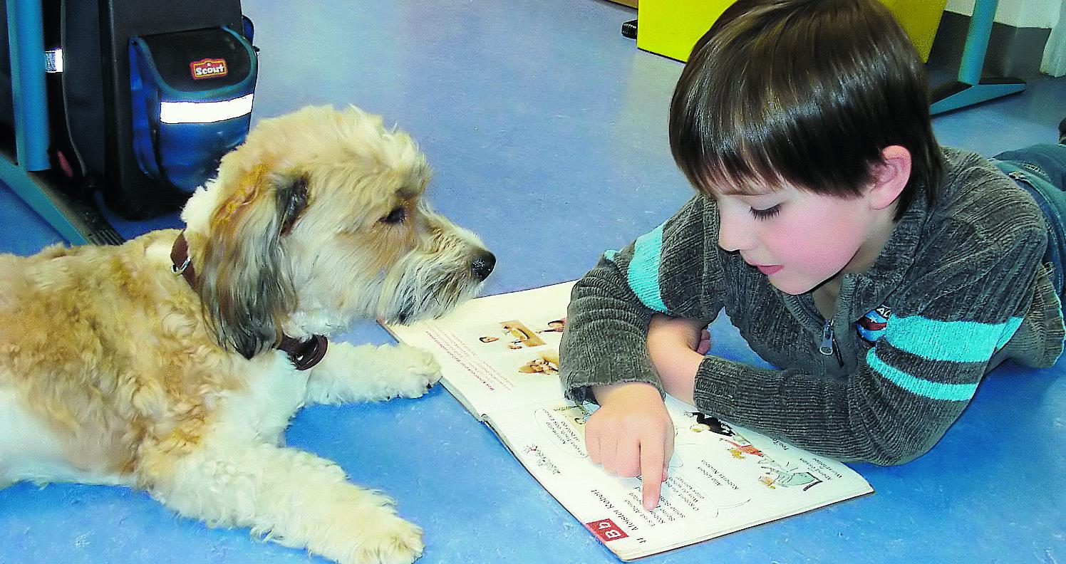 Derartige Projekte gibt es schon in anderen Kommunen. Hier: Anton, der Hilfslehrer. Ihrem Klassenhund lesen die Kinder besonders gerne vor.