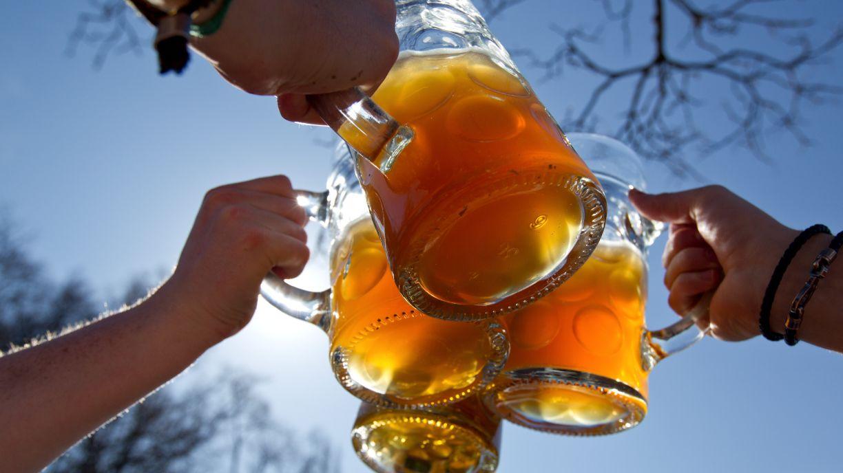 Neue Hopfenzüchtungen: Prost mit Mandarinenbier