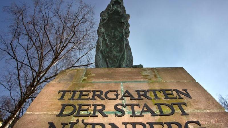 Besuchereinbruch: Tiergarten muss Ersparnisse anzapfen Besuchereinbruch: Tiergarten muss Ersparnisse anzapfen
