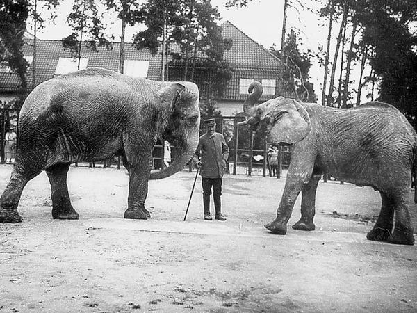 Alter Tiergarten: Ein Bürgertraum wurde Wirklichkeit