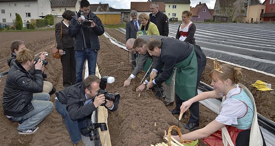 Noch ist es dem Spargel zu kalt