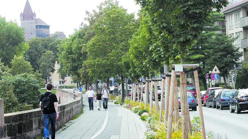 28.000 Straßenbäume im öffentlichen Raum gibt es laut Servicebetrieb Sör in der Stadt. Dieses Jahr sollen 409 Bäume gepflanzt werden. Davon sind 231 neu, 178 als Ersatz für gefällte Bäume gedacht.