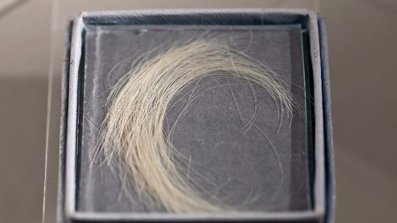 ... ist auch eine Haarlocke Kaspar Hausers ausgestellt. Um die Identität des Jungen zu ermitteln haben Forscher 2002 seine DNA mit Hilfe von Haarproben aus dem Hut von Hauser mit dem DNA-Material einer lebenden Nachfahrin aus dem Hause von Baden verglichen.