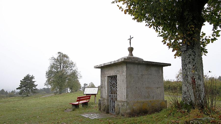 In diesen Wiesen westlich der Hofmann-Kapelle soll der Sendemast gebaut werden, 40 Meter hoch. Viel Spielraum zum Verlegen besteht nicht, weil diese Masten die Eckpunkte einer festen Wabenstruktur bilden müssen. In diesen Wiesen westlich der Hofmann-Kapelle soll der Sendemast gebaut werden, 40 Meter hoch. Viel Spielraum zum Verlegen besteht nicht, weil diese Masten die Eckpunkte einer festen Wabenstruktur bilden müssen.