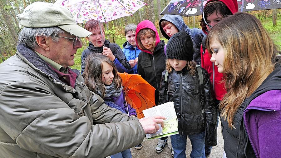 Den Waldvögeln in die Kinderstube geschaut