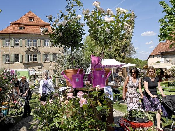 Der "Akzente"-Markt auf Schloss Atzelsberg bot in der Vergangenheit stets viel schönes Grünes für die Gartenfreunde.