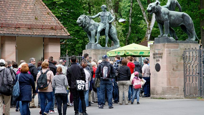 Schon seit Wochen fiebert der Nürnberger Tiergarten auf sein großes Jubiläumsfest hin.