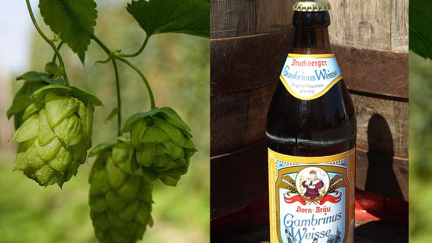 Gambrinus Weisse heißt das Weizen der Dorn-Bräu in Bruckberg bei Ansbach. Gebraut wird hier seit 1685. Neben der Gambrinus Weisse gibt es auch ein hochgelobtes Pils, ein schmackhaftes Dunkel und ein süffiges Helles. Mehr zur Brauerei in unserem Brauerei-Guide. 
 Dieses Bier erziehlte die Note 6,6 im Biervoting.