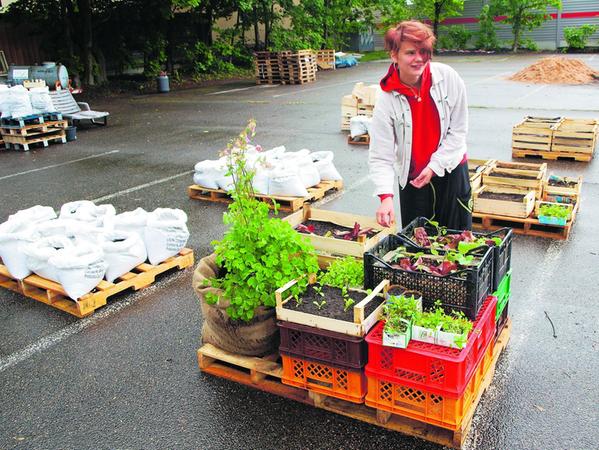 Nürnberger Stadtgarten-Projekt nimmt Fahrt auf