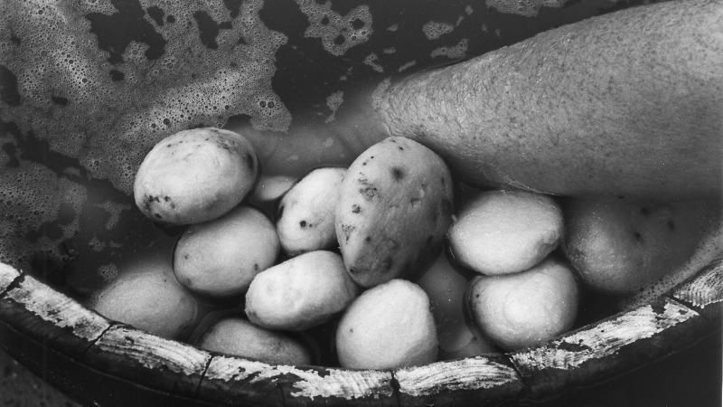 Die Kartoffeln verfaulen langsam im Wasser, weil nicht einmal sie verkauft werden dürfen. Der Streit um den Kloßteig nimmt, wie man sehen kann, dramatische Formen an. Aber die Hersteller geben sich noch nicht geschlagen. Zum ganzen Artikel