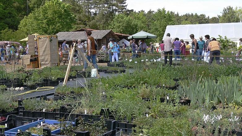 Spannender Ausflug in idyllische Gartenlandschaft