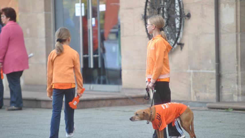 Alle in Orange: Auch die vierbeinigen Stadtlauf-Freunde.