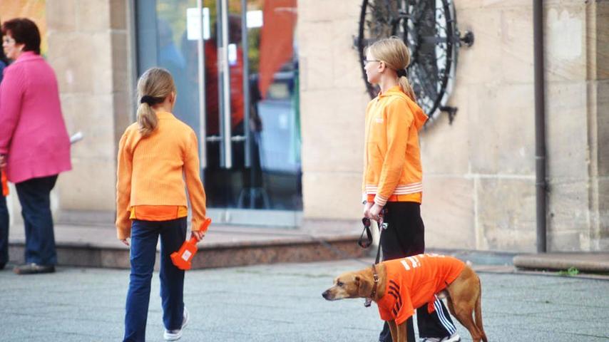 Alle in orange: Auch die vierbeinigen Sportlauf-Fans.
