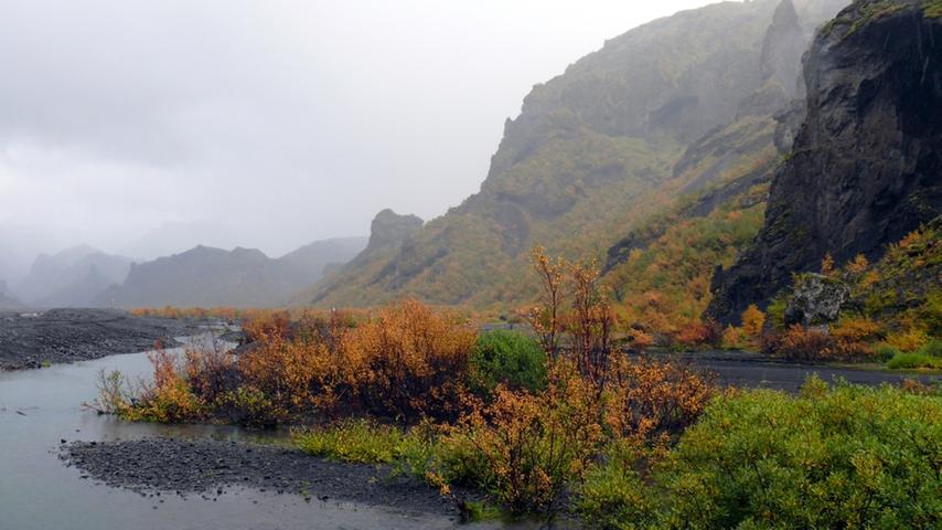 Die karge Flora im Thorsmörk-Tal verzaubert die Reisenden.