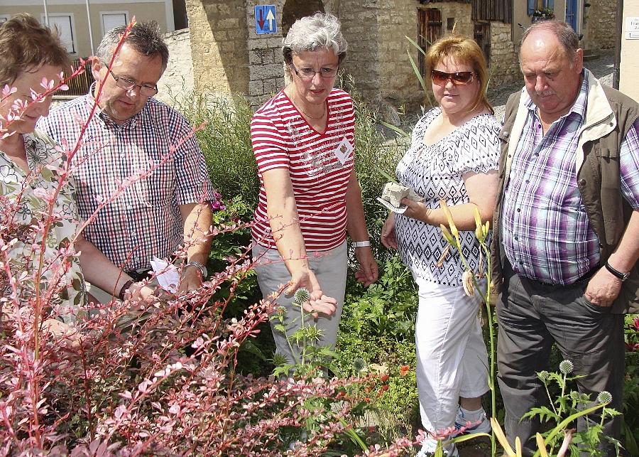 Berching Im Bibelgarten Vom Senfkraut Zum Dornenbusch Gefuhrt