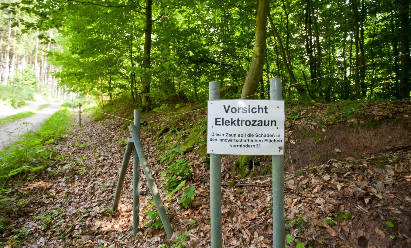 Urteil: Elektrozaun um Oettinger Forst muss weichen