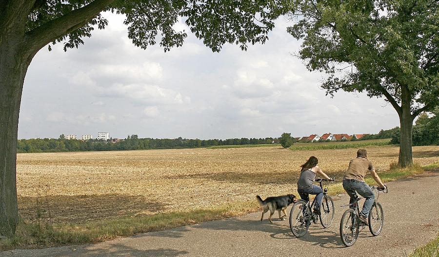 Oberfürberger geraten in Alarmstimmung