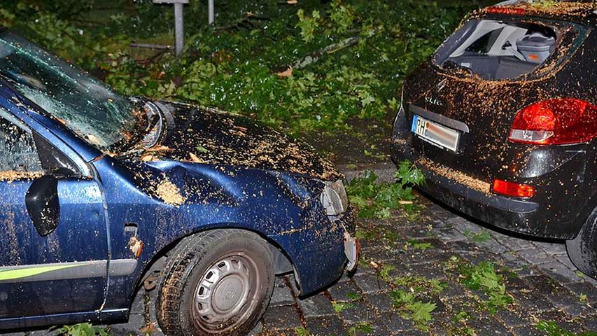Ein Baum war auch beim Unwetter in Fürth der Übeltäter: Ein Ahorn war auf Autos gefallen und beschädigte diese stark.