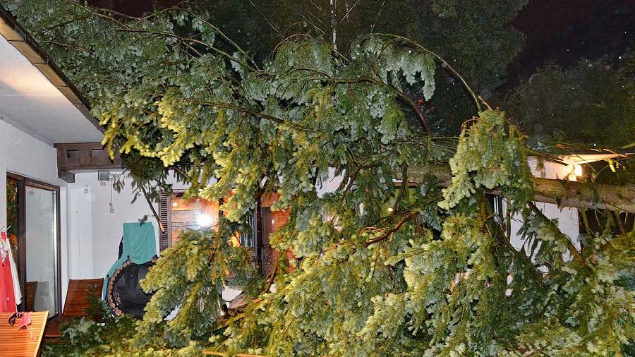 In Fürth stürzte am vergangenen Wochenende ein Baum auf ein Haus und durchschlug das Dach.