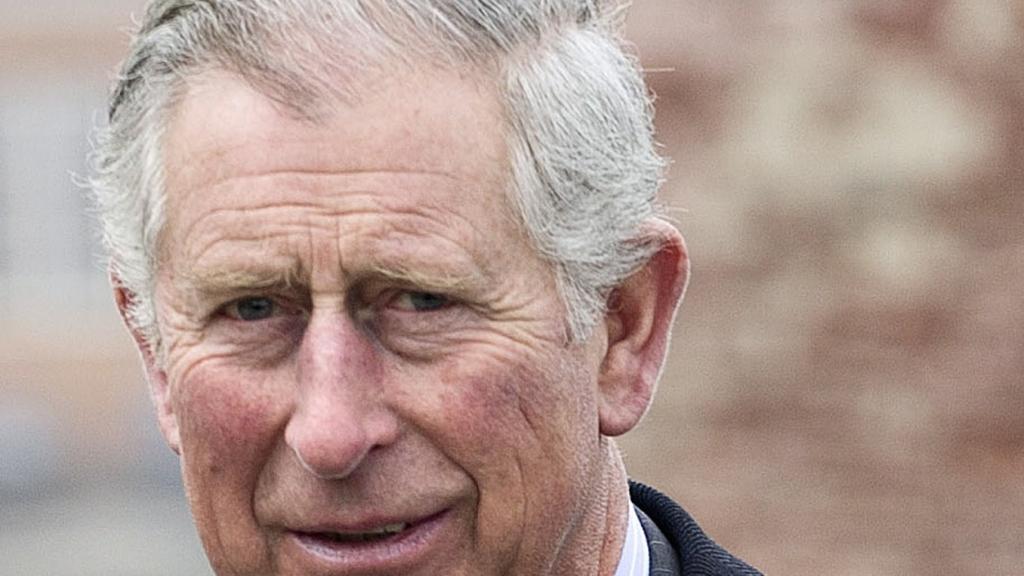 Neue Froschart trägt den Namen von Prince Charles