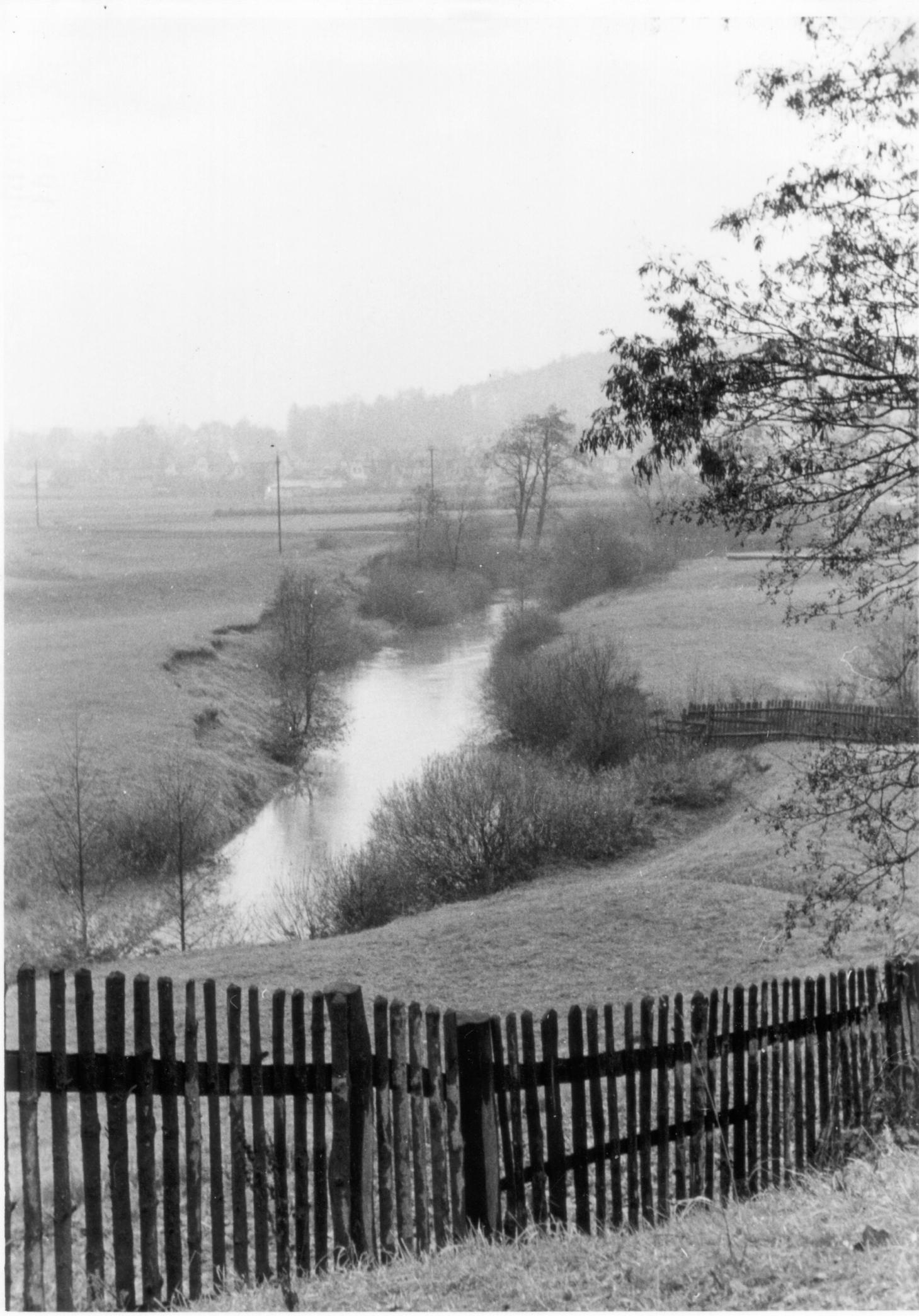 Blick über das Gelände in Richtung Mögeldorf. Bevor der Stausee existierte, durchfloß die Pegnitz seit Jahrhunderten in zwei Armen eine Flussaue. Das Pegnitztal blieb wegen der häufigen Überschwemmungen vom Menschen weitgehend unberührt.